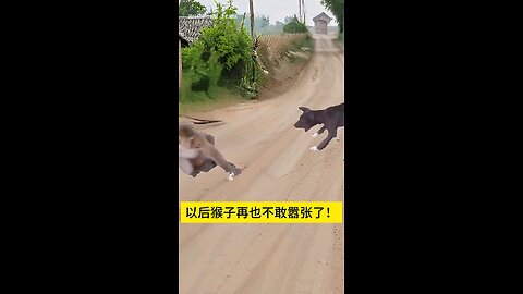 satisfying Video