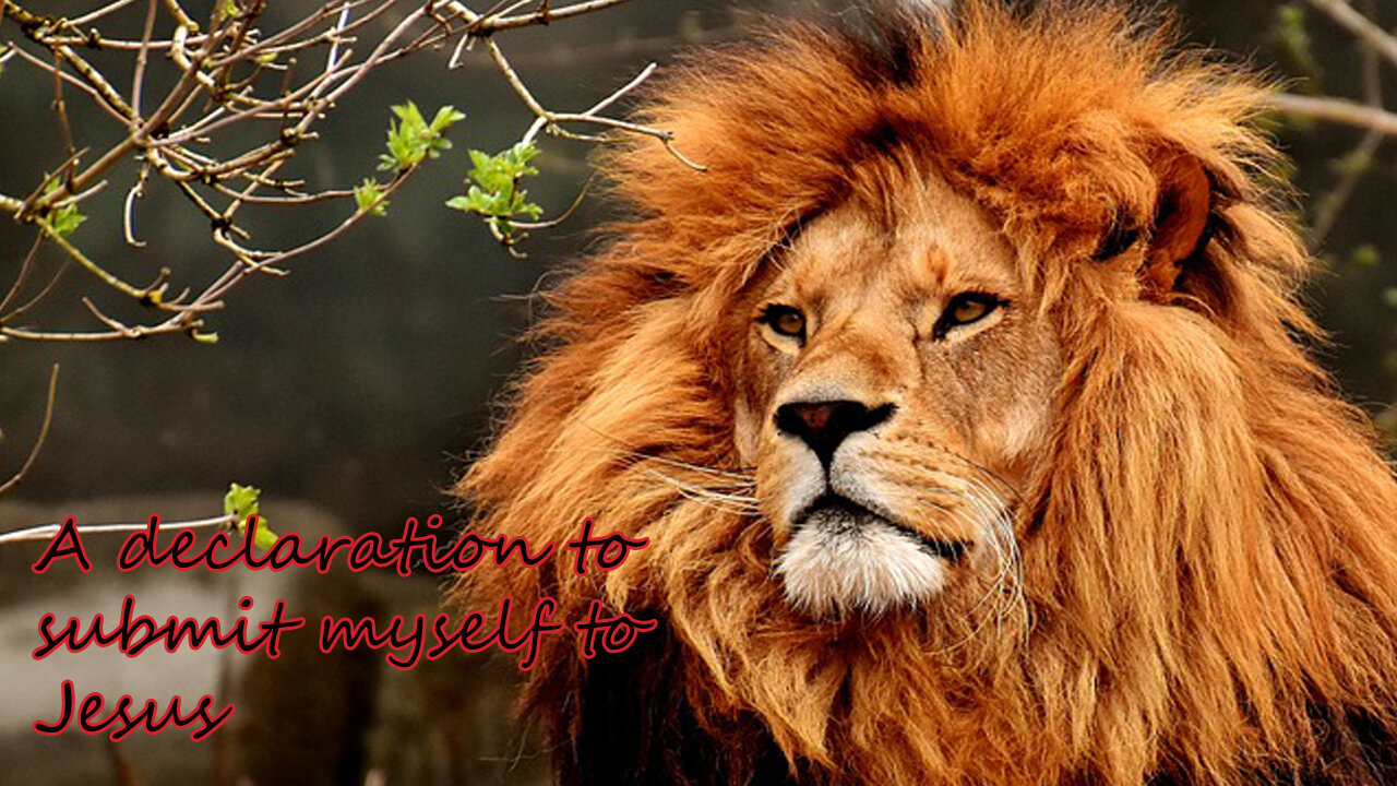 A declaration to submit myself to Jesus