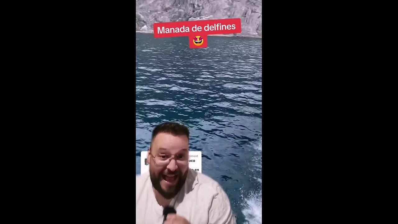 Cientos de Delfines siguiendo una lancha