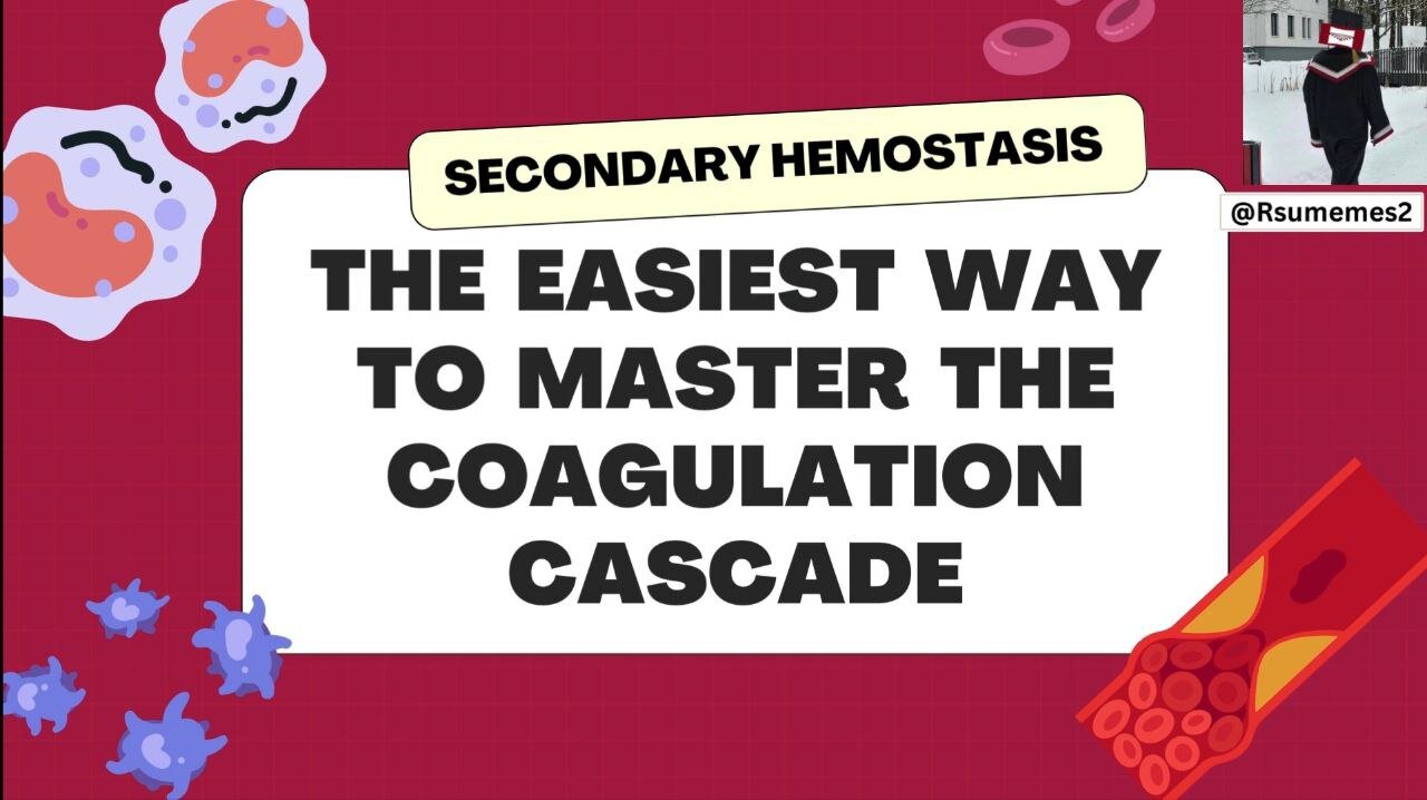 Secondary Hemostasis: The Coagulation Cascade is EASIER THAN EVER 🧠🩸