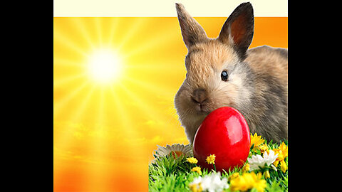 What Does the Bible say About the Easter Bunny? Podcast