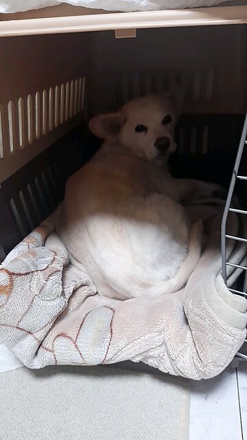 20260204. Remember my God.