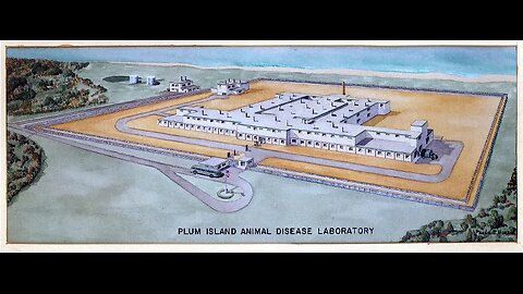 Origins of Lyme Disease