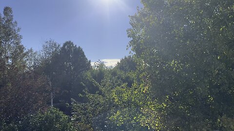 Very good day outside