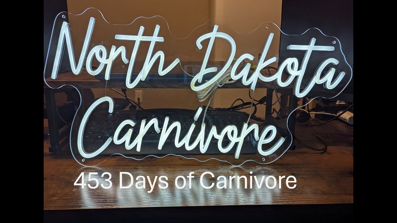 453 Days Of Carnivore