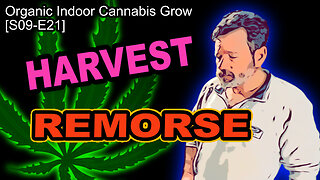 S09 E21 – Harvested After 12 Full Weeks Of Flower | Cannabis Grow 🪴 | Harvest Remorse....