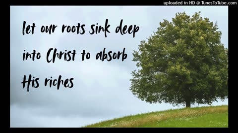 let our roots sink deep into Christ to absorb His riches