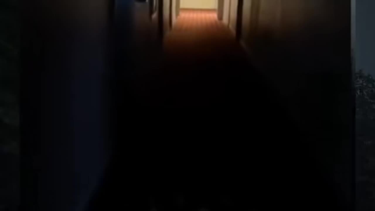 😱✨ Paranormal Lights? Ghostly Manifestation Spotted! | TheHauntingHour