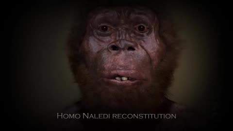 La Préhistoire Interdite On ne descend pas des Hominidés