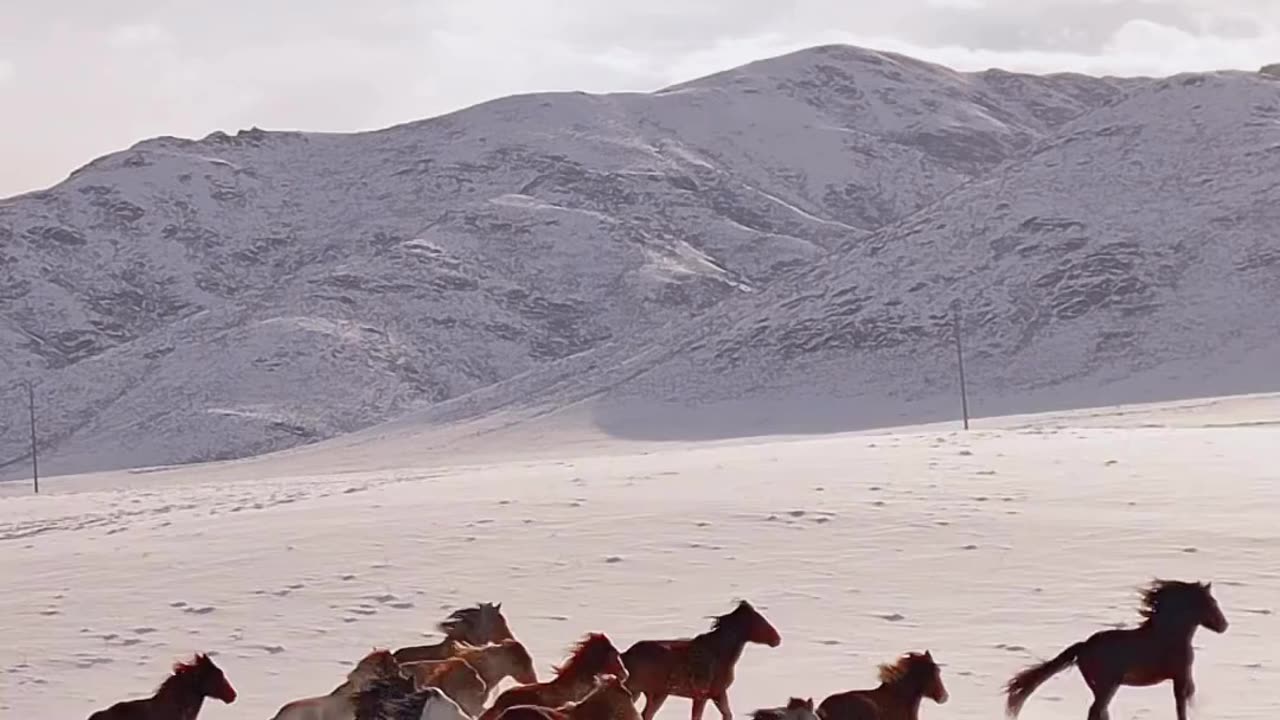 I want a nice phrase that suits this scene, please.
