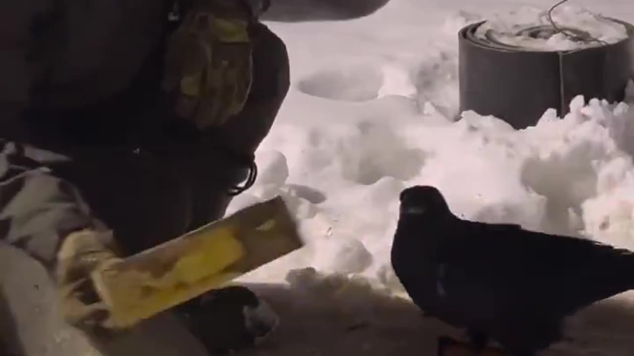 Little helper.. 😊