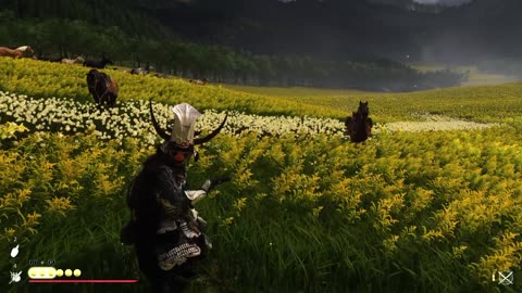 GHOST OF YOTEI | ONRYO HOWL & WOLF ANNOYED RONIN