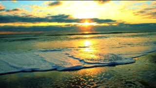 The Best News in the World!!