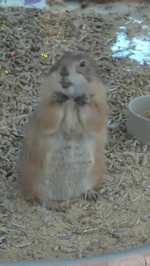 I mock you all and I mock you often 😂