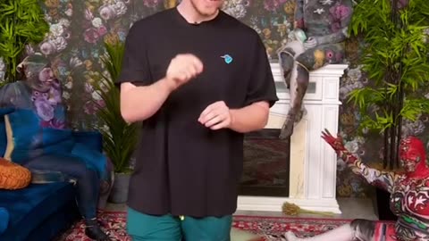 Can you spot everyone in this video? 👀