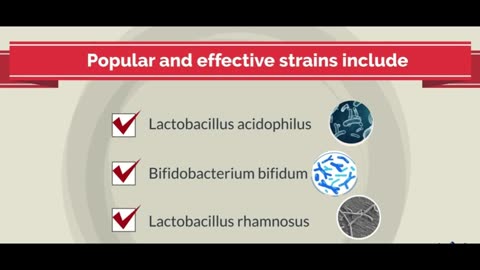 Best Probiotic Foods and Supplements to Support Gut Health Naturally