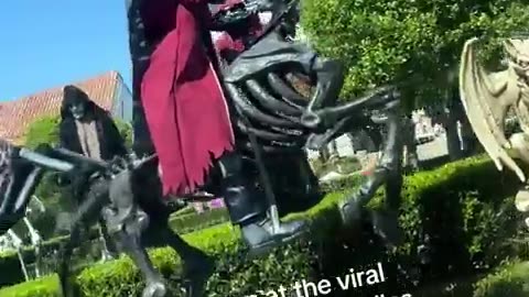 😂🎃 Now THOSE are what I call Halloween Decorations!!! Damn | FunFM