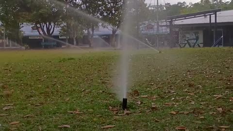 8.10.2025 Centenary Park Kuranda