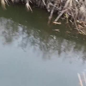 "There's a Trench in Here Somewhere"