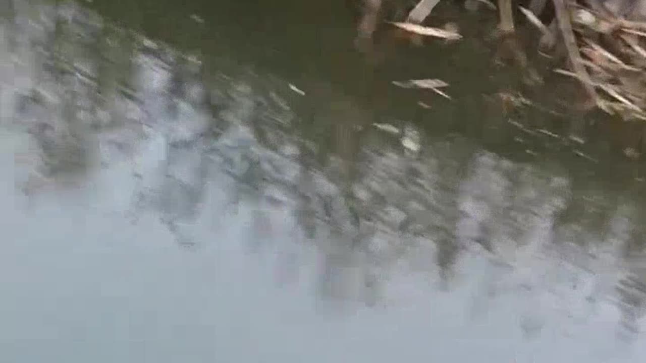 "There's a Trench in Here Somewhere"