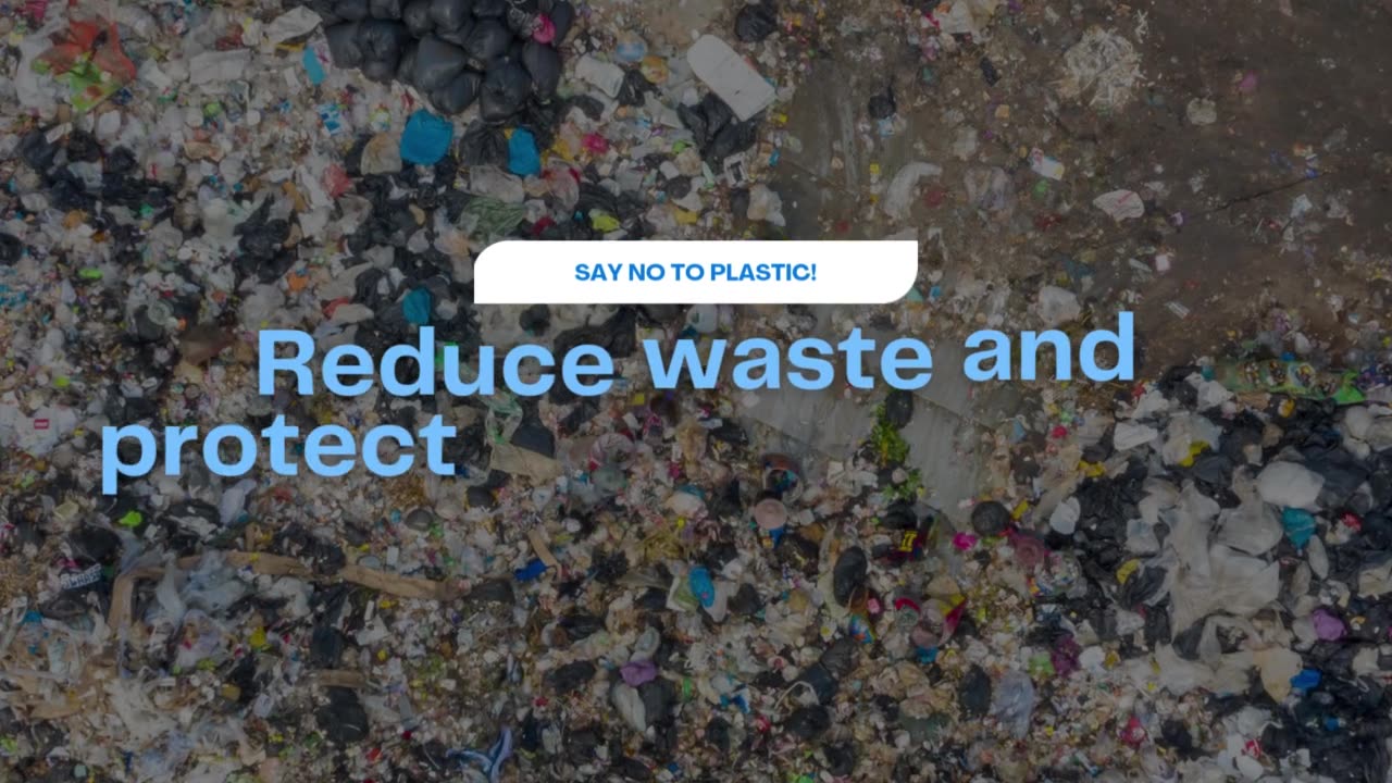 Say Goodbye to Plastic! Switch to Cotton Bags – Eco-Friendly & Stylish!