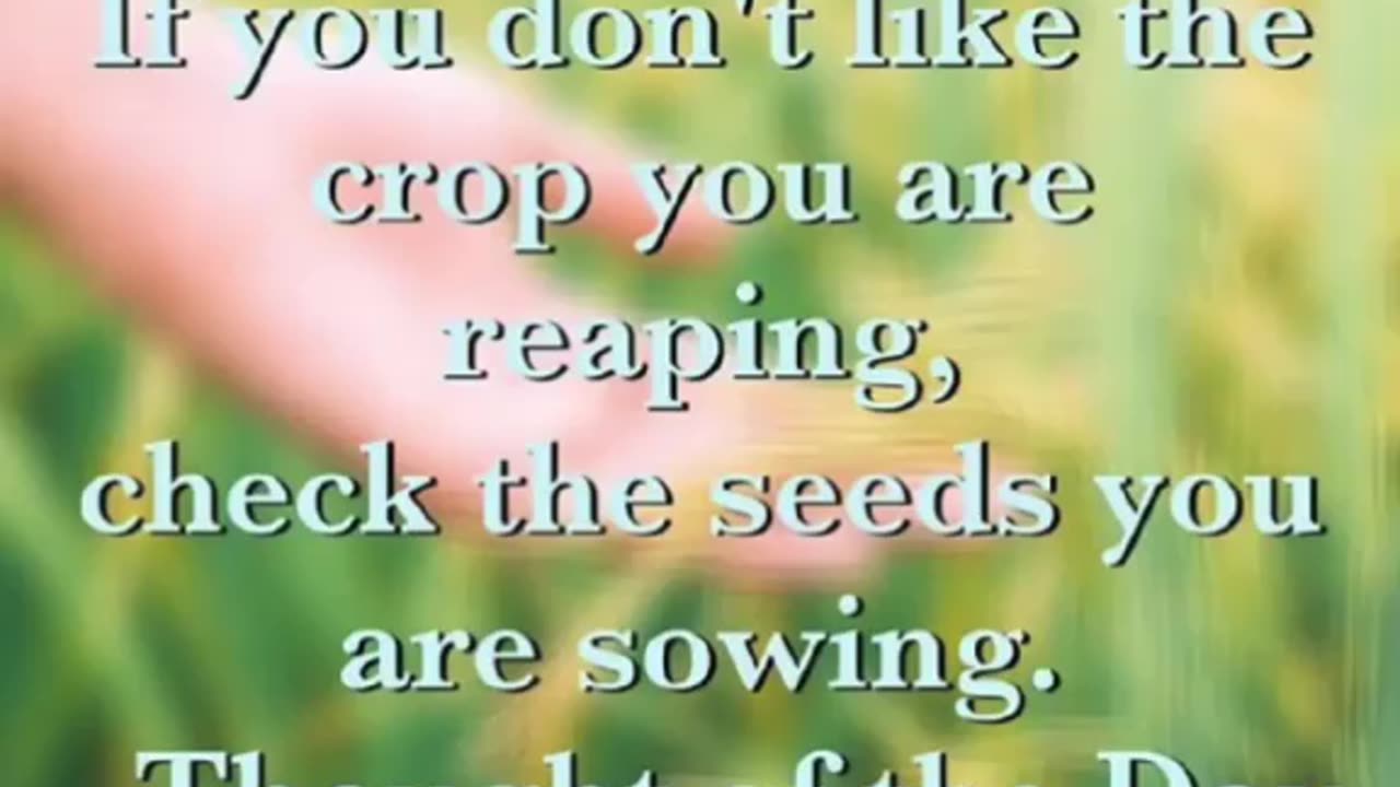 SOW WHERE YOU WANT TO GROW ❤️🔥