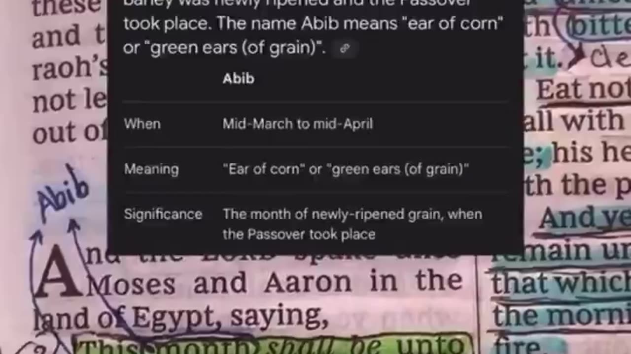According To The Bible, The True New Year Begins In The Spring