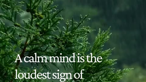 The Hidden Power of a Calm Mind That Most People Ignore
