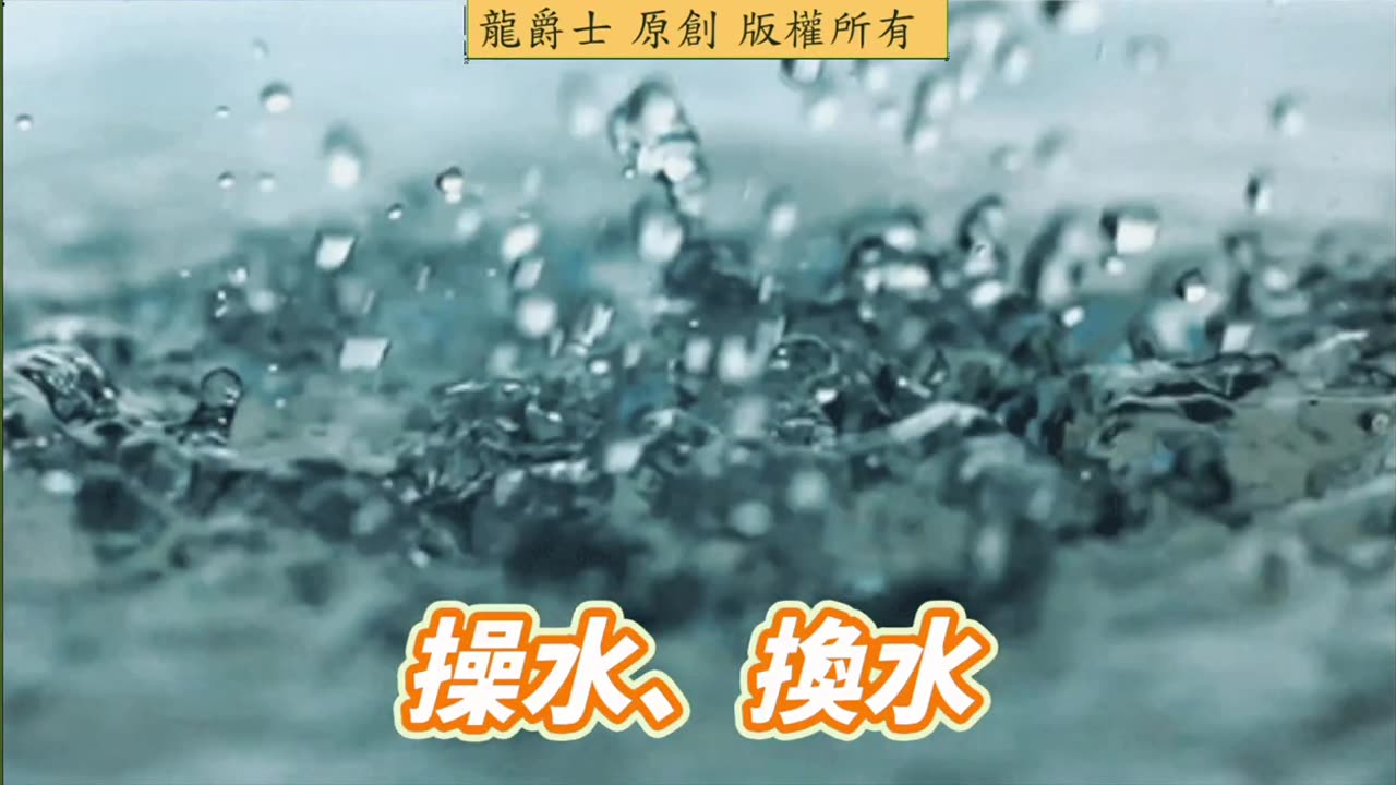 【龍爵士】千問千答 Q251 龍魚把食物吐出來，是消化不良還是吃太撐