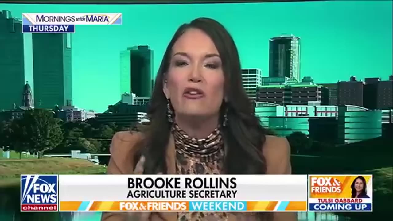 Rancher issues warning as Trump pushes beef imports_ ‘ALARMING rate of loss’