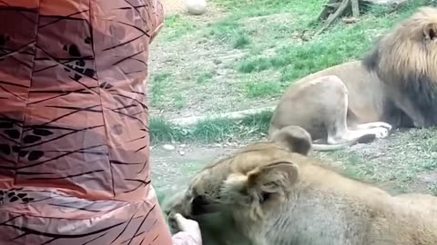 😂 Hilarious Funny Moments Compilation 😂🤣 | Epic Laughs & Fails 2025 | Try Not to Laugh Challenge! 😍