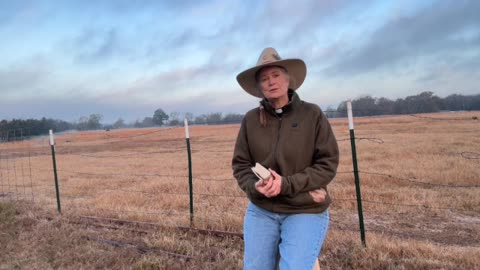 Morning Prayer, Daily Office