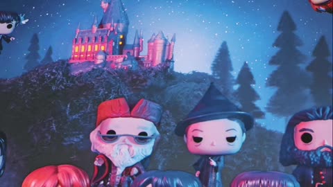 Quick Review: The World Of Funko Harry Potter #funko #harrypotter #funkopop