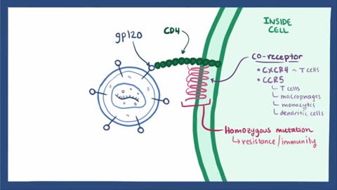 HIV & AIDS - signs, symptoms, transmission, causes & pathology