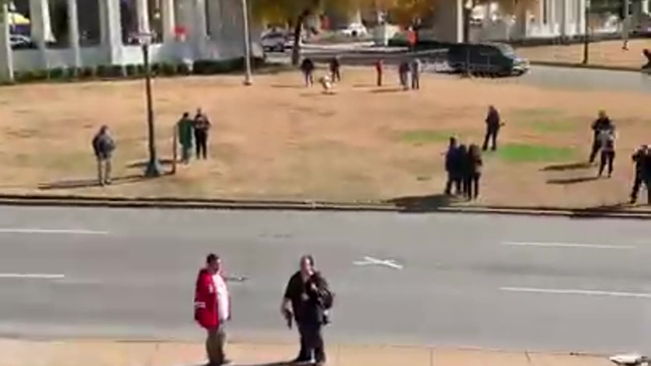 Vince Palamara 2019 from Zapruder's Perch: What Zapruder Saw