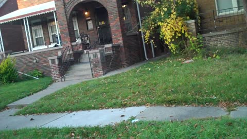 Investments, Greed, & Property managment Part 2