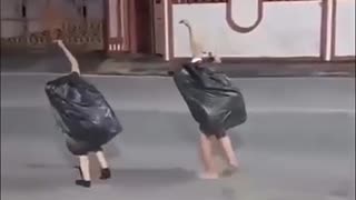 😂🤪 You Won't Believe This Human Ostrich! | FunFM