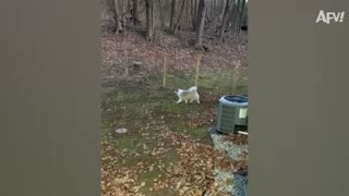 Another List of BAD IDEAS! 😅 ¦ Funniest Fails ¦ AFV 2020 (1080p_30fps_H264-128kbit_AAC)