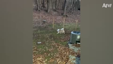 Another List of BAD IDEAS! 😅 ¦ Funniest Fails ¦ AFV 2020 (1080p_30fps_H264-128kbit_AAC)