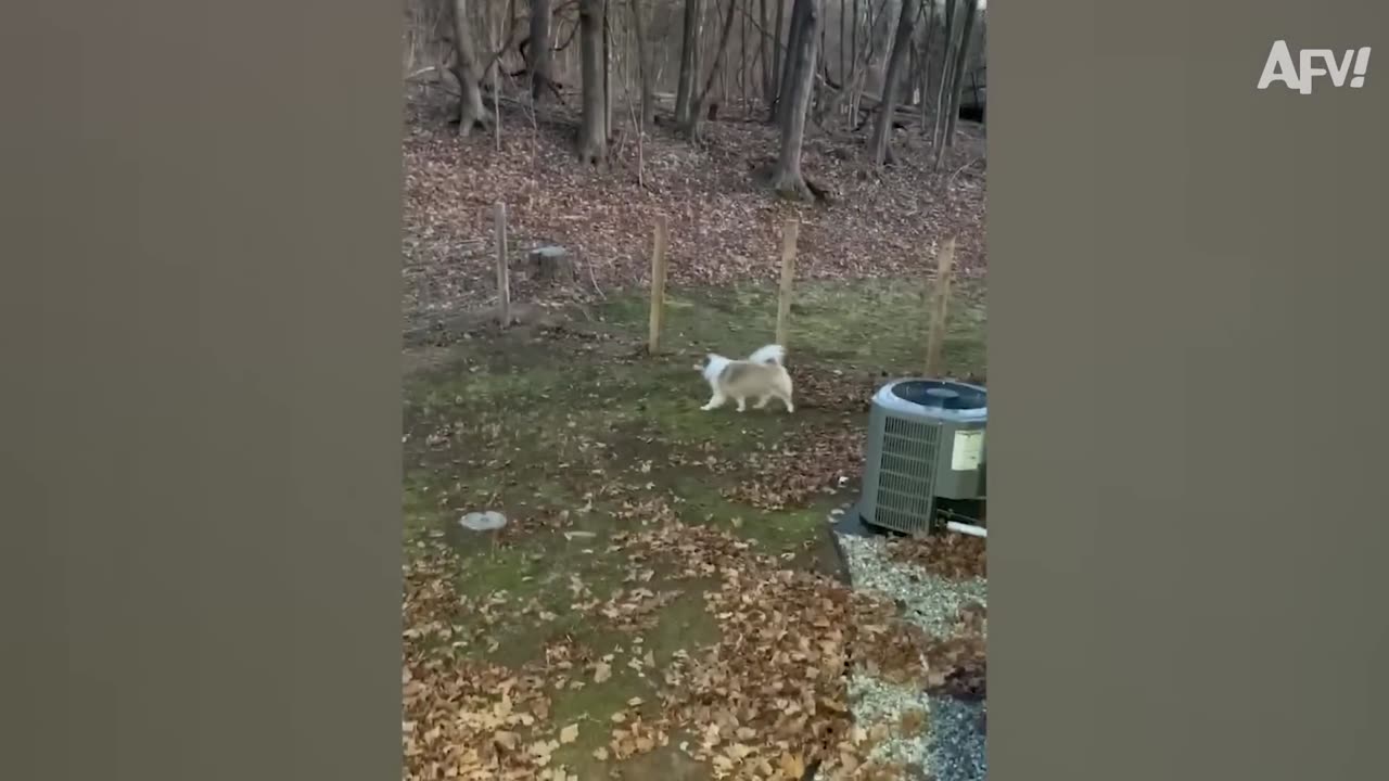 Another List of BAD IDEAS! 😅 ¦ Funniest Fails ¦ AFV 2020 (1080p_30fps_H264-128kbit_AAC)