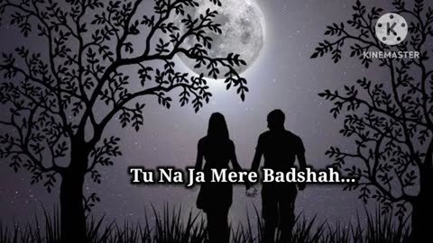 TU NA JA MERE BADSHAH Lofi Song, Love Song