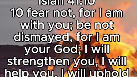 Why Men Are Afraid When They Were Never Meant To Be