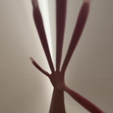 I recommend you to buy our games and try them :))