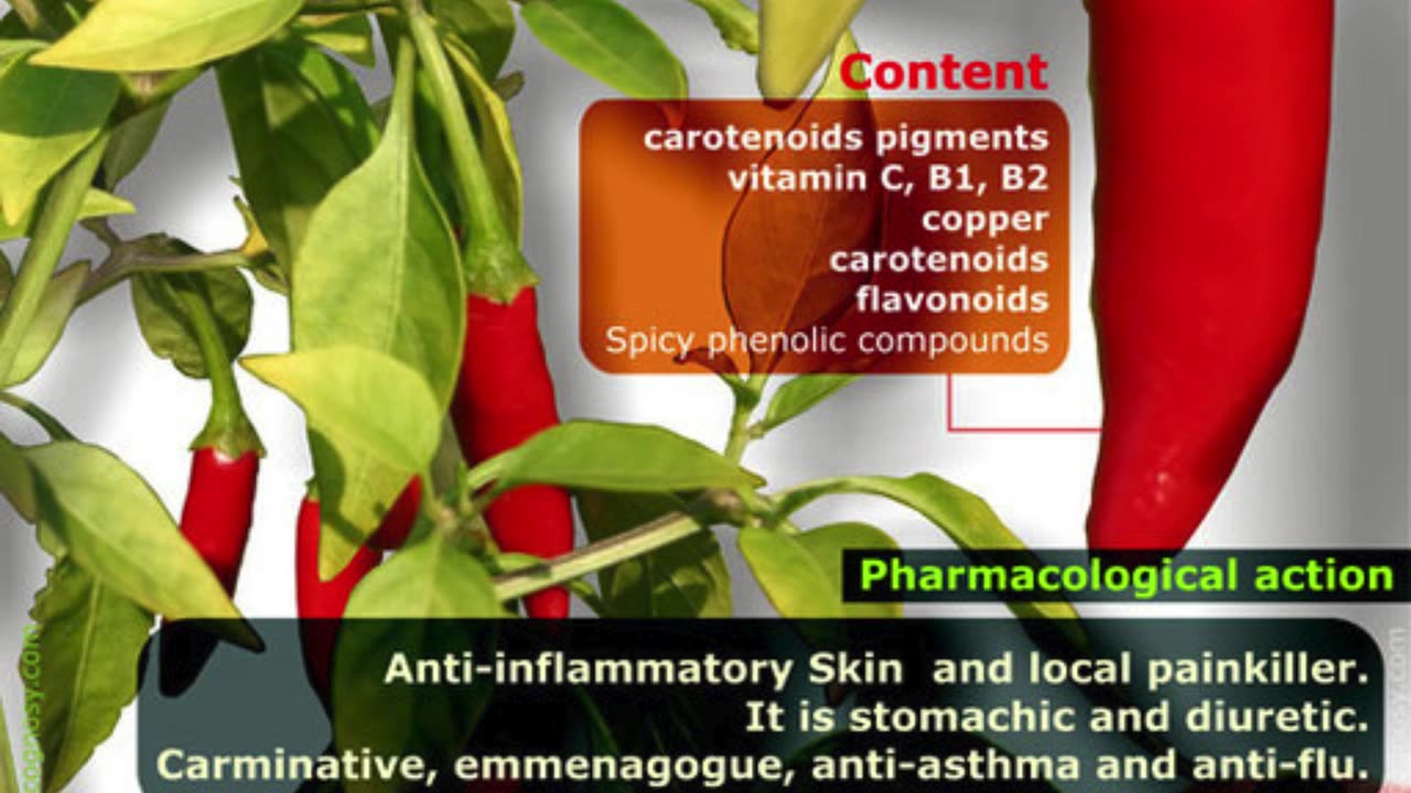 🌶️ فوائد الفلفل الحار