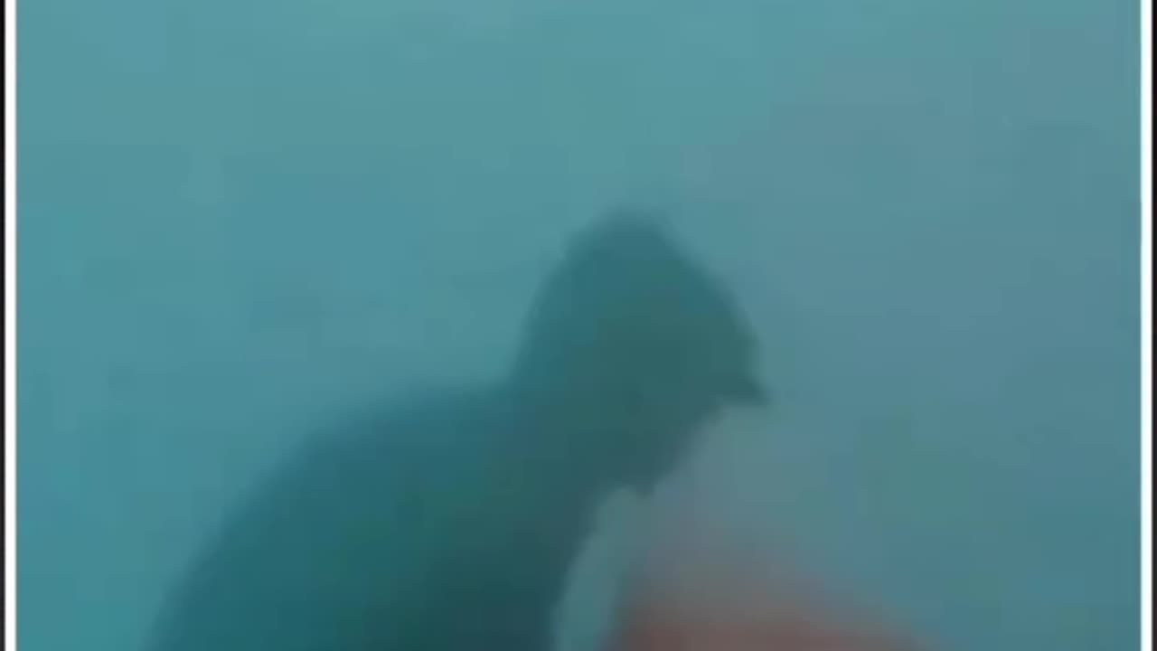 Whenever you feel bad about your work, remember this man!