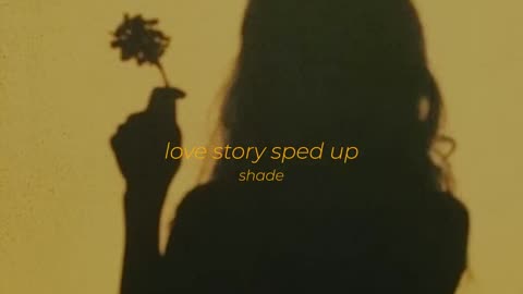 Love Story Sped Up