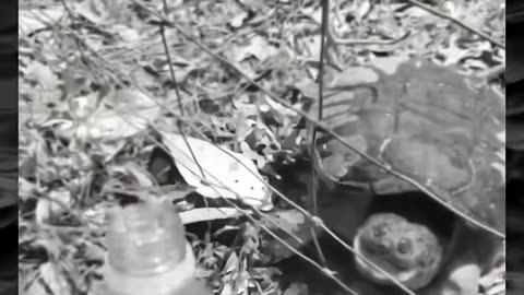 😱🧿 This Creepy Encounter Will Haunt You... | TheHauntingHour