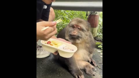 What are we going to eat?