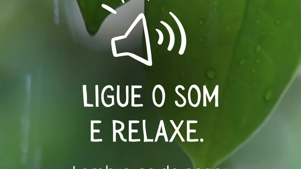 Bom dia