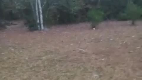 Poisoning your milk at the grocery store